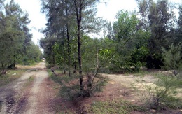 Nữ đại gia bí ẩn buông chục tỷ đồng mua đất ven biển Tam Kỳ