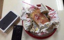 Tặng quà phải như anh: Chiếc iPhone 7 kẹp trong bánh kem 'không nhân dịp gì cả'