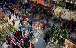 Ngắm chợ hoa lâu đời nhất của Hà Nội những ngày cuối năm