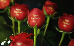 Người Mỹ có thể chi 2 tỷ USD mua hoa dịp Valentine