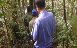Quảng Ngãi: Nổ súng trong rừng làm thợ săn tử vong