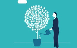 “Đại gia” Việt thích nhất mang tiền sang Lào đầu tư, chỉ một số rất ít muốn tới Trung Quốc