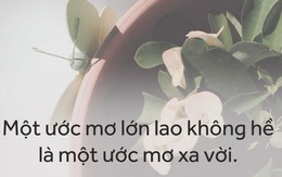 Lý do tại sao bạn nên mặc kệ những người gọi ước mơ của bạn là “không thực tế”