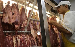 'Phát hoảng' với gà siêu rẻ Brazil: 7.000 đồng/kg