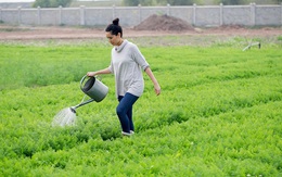 Tâm thư từ "gan ruột" của Đào Chi Anh: Làm doanh nhân khổ quá, vì cái tôi và lòng tự kiêu mà chẳng ai dám nói ra những sự thật đau lòng này!