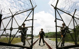 Những điều khủng khiếp ở vùng phi quân sự liên Triều qua lời kể cựu binh Hàn