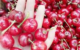 Cherry Trung Quốc 90 ngàn/kg bán tràn lan