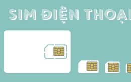 [Infographic]SIM điện thoại, con chip nhỏ hơn đầu ngón tay trị giá cả triệu USD