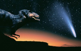 Chỉ cần thiên thạch rơi chậm hơn 30s, khủng long đã không tuyệt chủng