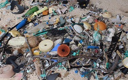 Hòn đảo ở Nam Thái Bình Dương này là nơi bị ô nhiễm rác thải nhựa nặng nhất trên thế giới
