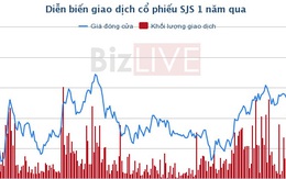 Sudico dự trình kế hoạch lợi nhuận năm 2017 sụt giảm 37,7%