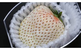 Có gì bên trong dâu tây trắng khổng lồ 200.000 đồng/quả độc nhất vô nhị tại Nhật Bản?