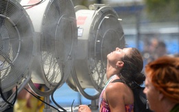 Những đợt nắng nóng kỷ lục gây chết người trên thế giới