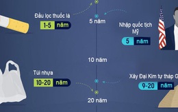 Rác thải hàng ngày của bạn mất bao lâu để phân hủy?