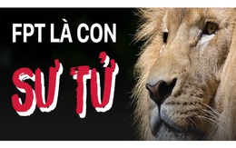Những loài vật được ví von là biểu tượng của FPT, Thế giới Di động, Viettel, Vietjet Air, và Masan