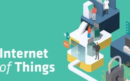 Internet of Things: Kỷ nguyên tương lai khi kể cả một mớ rau cũng được lắp cảm biến!