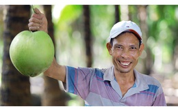 Đem nước dừa đi đóng hộp, một công ty đã nâng giá trị nước dừa tươi lên 300 lần, xuất khẩu hơn 40 nước, giải bài toán đầu ra cho hàng nghìn nông dân Bến Tre