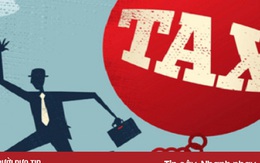 Hành vi trốn thuế nào của doanh nghiệp bị truy cứu TNHS?