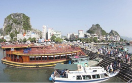 Thủ tướng cho phép Quảng Ninh lập đặc khu kinh tế Vân Đồn