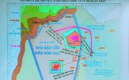 Chọn đổ 1 triệu m3 gần Hòn Cau là để ‘giảm chi phí’