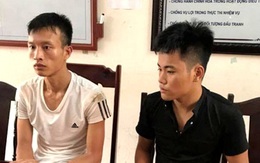 Thanh Hóa: Bắt giữ 2 đối tượng trộm cây gỗ sưa trong đêm