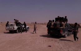 Trận chiến Raqqa bùng phát dữ dội, “Hổ Syria” mất hơn 40 binh sĩ