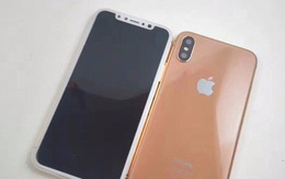 Mô hình iPhone 8 vừa xuất hiện tại Việt Nam, giá không dưới 220 triệu đồng
