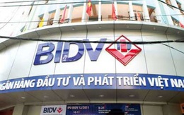 Gần 1 năm, BIDV vẫn chưa có chủ tịch