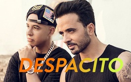 "Despacito" - Vì sao chỉ một giai điệu vui tai lại có thể vực dậy cả nền kinh tế lẫn âm nhạc Latin?