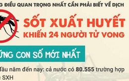 [Infographic] Những lưu ý quan trọng nhất về dịch sốt xuất huyết đang bùng phát mạnh