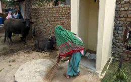 Ấn Độ: Ly dị vì chồng không xây nhà vệ sinh