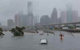 Đổ bộ vào bang Texas, siêu bão Harvey đã "cuốn trôi" 40 tỷ USD theo dòng nước