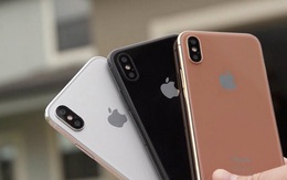 iPhone 8 sẽ có màu mới nào khác biệt so với iPhone 7?