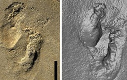 Phát hiện dấu chân người 5,7 triệu năm có nguy cơ viết lại lịch sử về nguồn gốc loài người