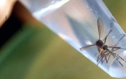 Bill Gates tiết lộ mối đe dọa sức khỏe lớn nhất trong 10 năm tới