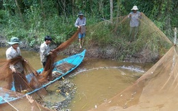 Cà Mau đề nghị ông Hải phản hồi phát ngôn 'rừng U Minh'