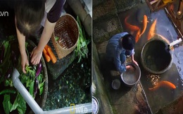 Người Nhật khiến cả thế giới thán phục vì rửa bát, rửa rau ngay ở kênh nuôi cá