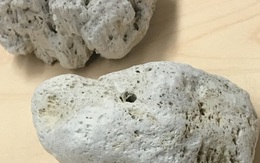 Bí ẩn loại đá có khả năng nổi lềnh bềnh trên mặt nước và lý giải của các nhà khoa học