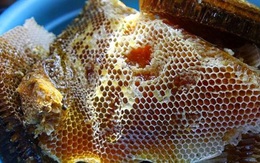 Chuyên gia Việt: Thông tin 75% mật ong chứa thuốc trừ sâu là không đúng