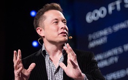 Chỉ bằng một​ phản hồi ​sau ​​siêu bão ở​ Puerto Rico, Elon Musk đã chứng tỏ mình là một thiên tài marketing