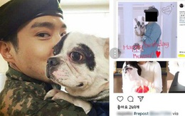 Netizen phẫn nộ vì gia đình Siwon tiếp tục thả chó, tổ chức sinh nhật cho thú cưng sau sự cố cắn CEO