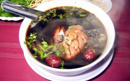 Ăn óc động vật có tốt cho sức khỏe?