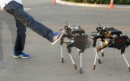 Startup Trung Quốc ra mắt chó robot giá 30.000 USD, giống hệt robot của Google