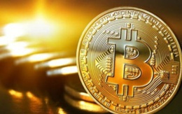 Dân“cày” bitcoin tiết lộ sốc: Hôm nay là tỷ phú, mai lại trắng tay