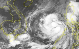Xem clip đáng sợ khi bão Damrey đổ vào Bình Định