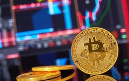 Bitcoin ngấp nghé 8.000 USD, Goldman Sachs vừa đưa ra lời cảnh báo nhưng rất nhiều nhà đầu tư sẽ vui mừng