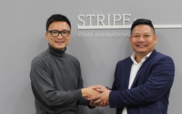 Tập đoàn thời trang Nhật Bản Stripe thâu tóm NEM fashion - chuỗi thời trang phụ nữ lớn thứ 2 Việt Nam