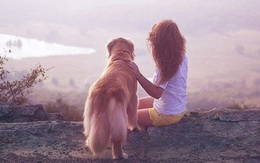 Chuyện thật như đùa: Tình yêu 2 năm chia tay chỉ vì 1 chú chó