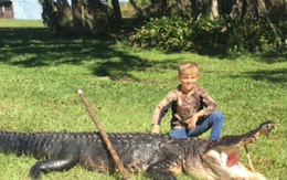 Cậu bé 8 tuổi một mình bắt cá sấu