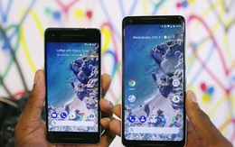 Google Pixel 2 XL gặp sự cố về màn hình bị nhấp nháy